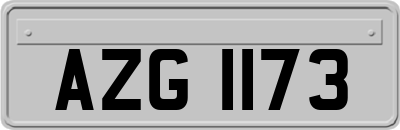 AZG1173