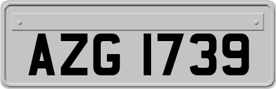 AZG1739