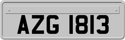 AZG1813
