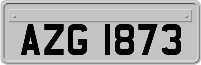 AZG1873