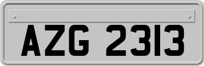 AZG2313