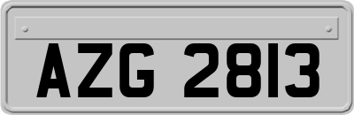 AZG2813