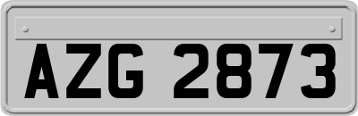 AZG2873