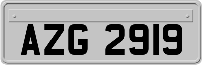 AZG2919