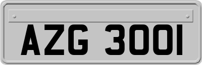 AZG3001