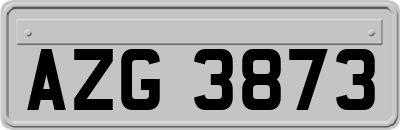 AZG3873