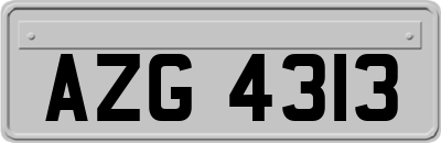 AZG4313