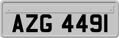 AZG4491