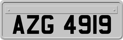 AZG4919