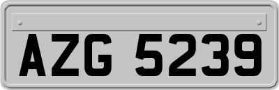 AZG5239