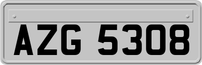 AZG5308