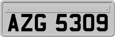 AZG5309