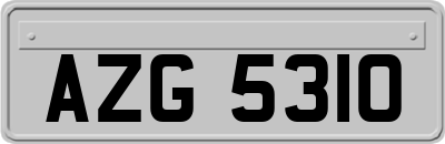 AZG5310