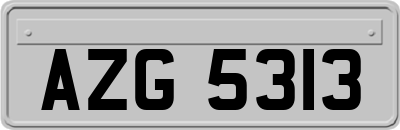 AZG5313