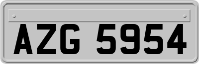 AZG5954