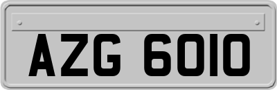 AZG6010