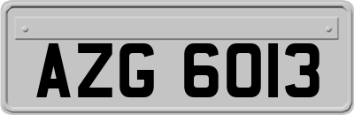 AZG6013