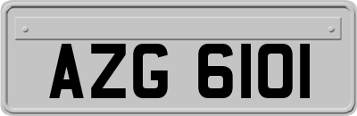 AZG6101