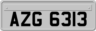 AZG6313