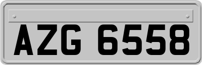 AZG6558