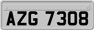 AZG7308