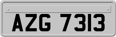 AZG7313
