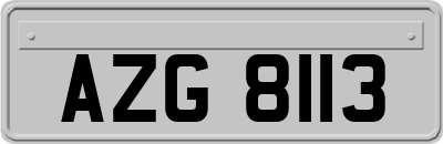 AZG8113