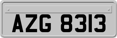 AZG8313