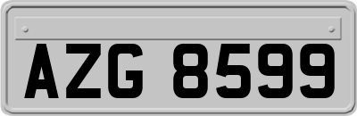 AZG8599