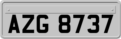 AZG8737