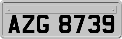 AZG8739