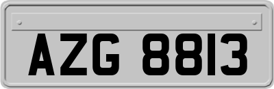AZG8813