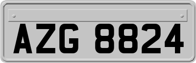AZG8824