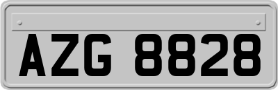 AZG8828