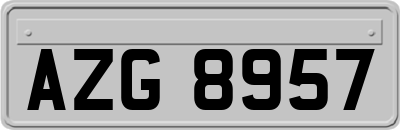 AZG8957