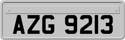 AZG9213