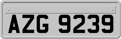 AZG9239