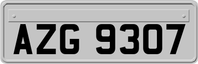 AZG9307