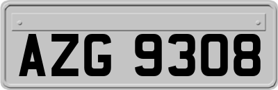 AZG9308