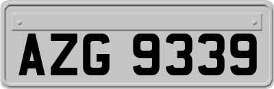 AZG9339