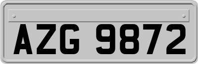 AZG9872