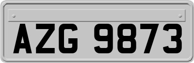 AZG9873