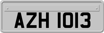 AZH1013