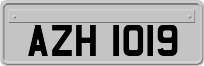 AZH1019