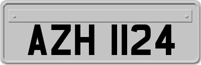 AZH1124