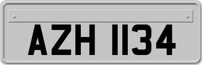 AZH1134