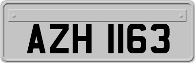 AZH1163