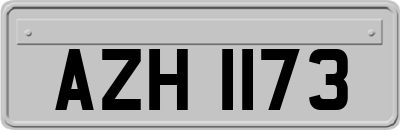 AZH1173