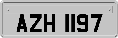 AZH1197