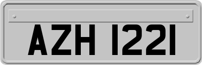 AZH1221